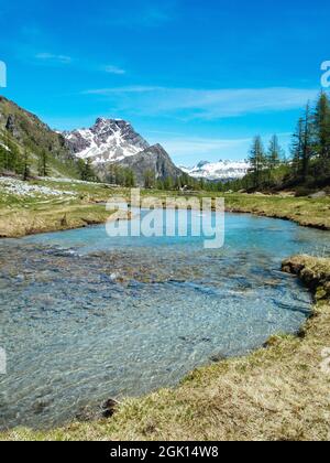 Eine vertikale Aufnahme eines alpinen Flusses, der zwischen den Wiesen der Devero Alp im Piemont, Italien, fließt Stockfoto