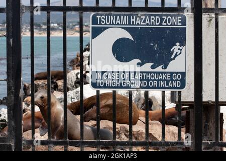 Tsunami-Warnzone am Coast Guard Pier, Monterey, Kalifornien Stockfoto