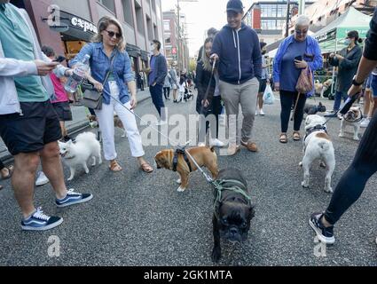 Vancouver, Kanada. September 2021. Menschen bringen ihre Hunde auf die Straße, während sie am 12. September 2021 an der Veranstaltung „Pet-A-Palooza“ in Vancouver, Kanada, teilnehmen. Die jährliche Heimtierveranstaltung kehrte in diesem Jahr zurück, nachdem sie 2020 aufgrund der COVID-19-Pandemie abgesagt wurde, die mehr als tausend Hundebesitzer dazu brachte, an verschiedenen Aktivitäten teilzunehmen und die Freude mit ihren Haustieren zu teilen. Quelle: Liang Sen/Xinhua/Alamy Live News Stockfoto