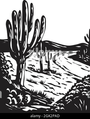 WPA-Poster monochrome Kunst des Saguaro National Park in Pima County, südöstlich von Arizona, USA in Arbeiten Projektverwaltung schwarz und getan Stock Vektor