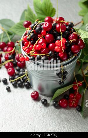 Kirschen, rote und schwarze Johannisbeeren auf grauem Hintergrund. Frische Beeren in einem kleinen Metalleimer. Stockfoto