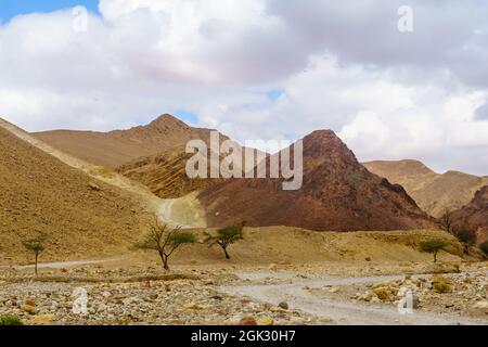 Blick auf den Nahal Shlomo (Wüstental). Eilat-Gebirge, Südisraelisch Stockfoto