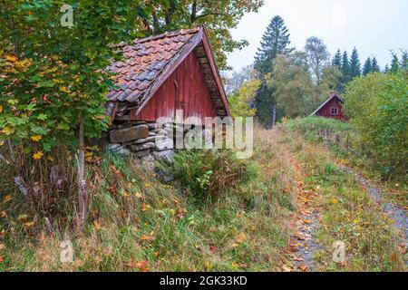 Feldweg mit einem alten Wurzelkeller im Herbst Stockfoto