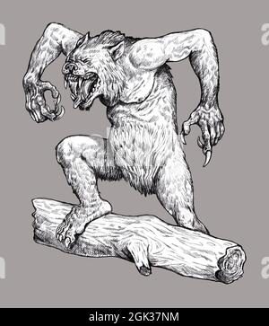 Werwolf brüllende Zeichnung. Fantasy Monster Illustration. Halloween-Vorlage. Stockfoto