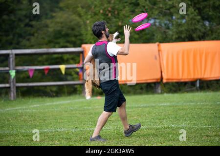 Disc Dog. Ein Haustier und sein menschlicher Freund während einer Frisbee Dog Show. Stockfoto