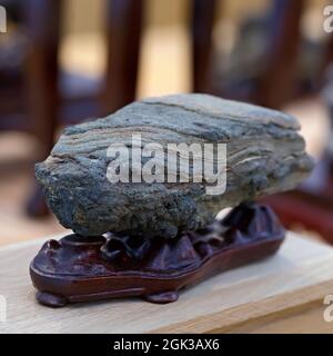 Naturstein von ungewöhnlicher Form. Ein dekoratives Element im Innenraum. Suiseki, Natürlichkeit und Minimalismus, Zen, Kontemplation und Harmonie mit der Natur. Stockfoto