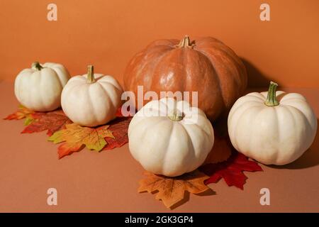 Kürbisse mit Herbst-Ahornblättern auf orangefarbenem Hintergrund. Thanksgiving-Tageskonzept Stockfoto