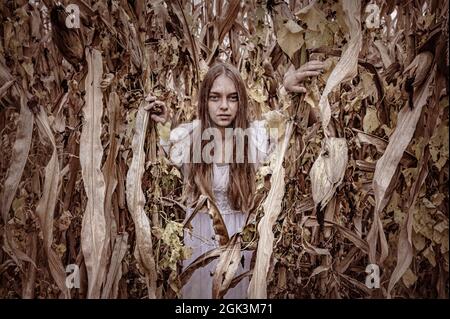 Scary Ghost Teenager-Mädchen in weißem Kleid im Maisfeld. Feiertagsveranstaltung halloween-Konzept. Stockfoto