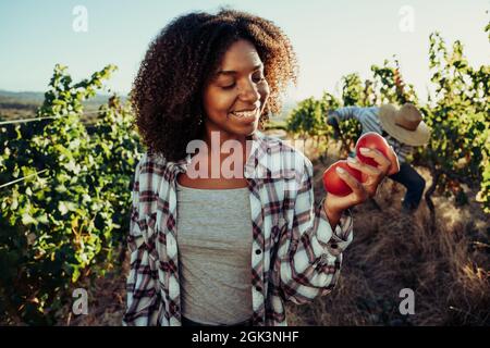 Bäuerin mit gemischter Rasse lächelt zu frisch geernteten Tomaten Stockfoto