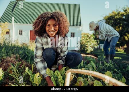 Mischbetrieb Bäuerin glücklich, in der Natur Gemüse aus dem Garten pflücken zu arbeiten Stockfoto