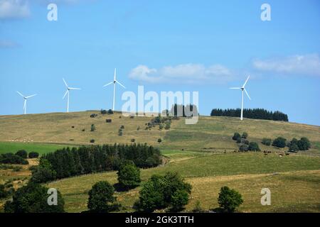 Windturbinen auf den Höhen des Cezallier-Plateaus, in der Nähe von La Meyrand, Puy-de-Dome, Auvergne-Rhone-Alpes, Massif-Central, Frankreich Stockfoto