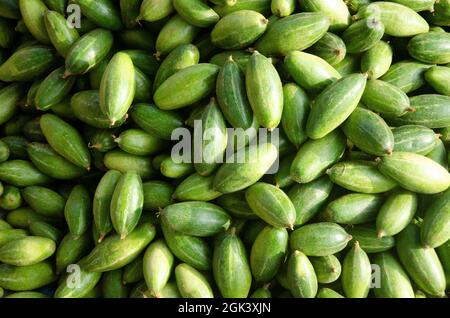 Grün spitz Kürbisse Gemüse. Wird auch für Hintergrund oder Textur verwendet. Stockfoto