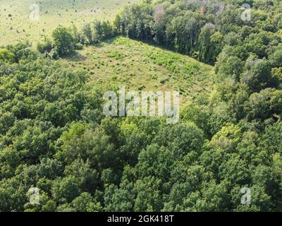 Ort des Holzfällens im Wald, eine Lichtung. Luftaufnahme einer Waldlichtung, Landschaft. Gefällte Waldfläche. Stockfoto