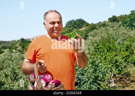 Der Mensch hält einen Korb mit reifen Auberginen, nachdem er im synergistischen Gemüsegarten Auberginen gesammelt hat. Arbeiten im Garten als Hobby in der neuen Norm Stockfoto