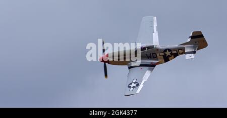 Klassisches nordamerikanisches Kampfflugzeug P-51D Mustang aus dem 2. Weltkrieg im Flug. Stockfoto