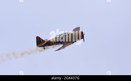 Vintage North American T-6 Harvard 4 Wacky Rabbit Flugzeuge im Flug. Stockfoto