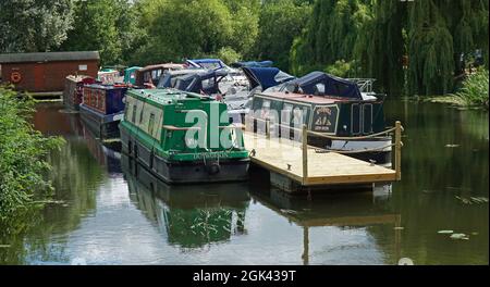 Schmale Bootshäuser, die in St. Neots am Fluss Ouse festgemacht sind. Stockfoto