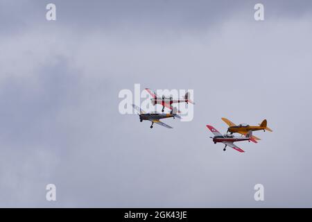 Vier alte de Havilland Chipmunk Flugzeuge fliegen in Formation. Stockfoto