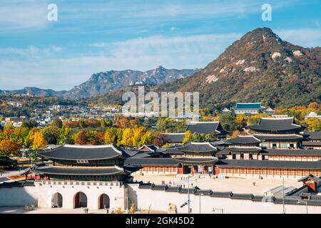 Panoramablick auf den Gyeongbokgung Palast im Herbst in Seoul, Korea Stockfoto