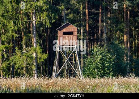 Ein jagdbarer Hochsitz auf der Wiese neben einem Wald Stockfoto