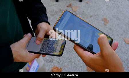 Hände von Mann mit Telefon scannt covid Zertifikat. Green Pass. Elektronisch Stockfoto