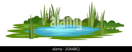 Sumpflandschaft mit Schilf und Rohrkrüge. Isoliertes Element. Horizontale Komposition. Überwucherter Teich. Illustrationsvektor. Stock Vektor