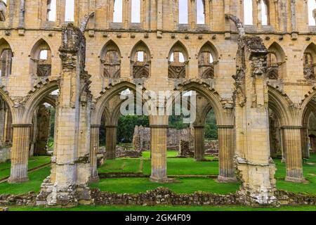 Nahaufnahme der Ruinen der Rievaulx Abbey, einer Zisterzienserabtei in Rievaulx in der Nähe von Helmsley im North York Moors National Park, England. Stockfoto