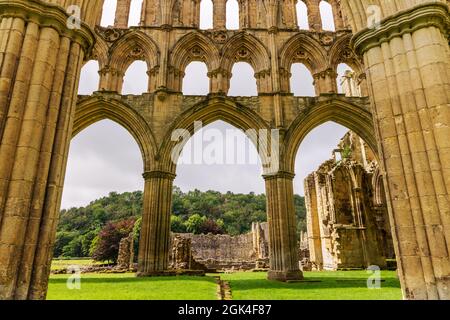 Nahaufnahme der Ruinen der Rievaulx Abbey, einer Zisterzienserabtei in Rievaulx in der Nähe von Helmsley im North York Moors National Park, England. Stockfoto