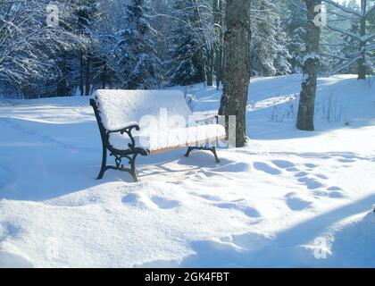 Winterszene, Parkbank im Schnee. Schöne Aussicht. Stockfoto