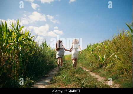 Im Sommer laufen zwei Mädchen mit den Händen über das Feld Stockfoto