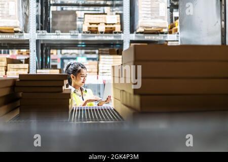 Asiatische Arbeitnehmerin in Sicherheitsweste sitzt und arbeitet mit Computer-Laptop im Lagerhaus. Stockfoto