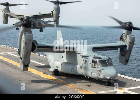 210802-N-TP544-1201 ATLANTIK (AUG 2, 2021) MV-22 Ospreys, die Marine Medium Tiltrotor Squadron (VMM) 262 zugewiesen wurden, landen auf dem Flugdeck des amphibischen Sturmschiffs USS Kearsarge (LHD 3) der Wasp-Klasse am 2. August 2021. Kearsarge ist im Begriff, die groß angelegte Übung 2021 (LSE 2021) zu unterstützen, eine global integrierte Übung, die entwickelt wurde, um fortgeschrittene Kampfkonzepte für das gesamte Spektrum der maritimen und amphibischen Operationen im Rahmen von Distributed Maritime Operations (DMO) zu testen. LSE 2021 findet vom 3. Bis 16. August 2021 in den Gebieten der Pazifikflotte der USA, der US-Flottenstreitkräfte und der US-Naval-Streitkräfte in Europa statt Stockfoto