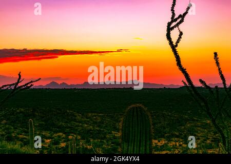 Sonnenuntergang vom größten Teil des Saguaro National Park in Arizona, USA. Stockfoto