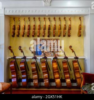 Violinen und Cellos im R.L Ray Violin Shop in Olympia, WA. Robert Ray ist Geige- und Bogenbauer. Stockfoto