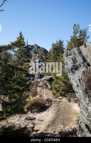 Am Grossen Osser Stockfoto