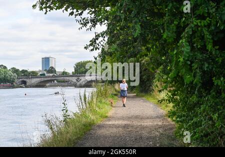 Frau, die mit Hund auf dem Themsepfad läuft, in Kew South West London England, Großbritannien Stockfoto