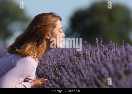 Profil einer Frau, die in einem schönen Feld Lavendelblüten riecht Stockfoto