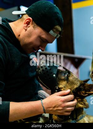 US Air Force Staff Sgt. Daniel Hagney, 86. Sicherheitsschwadron, militärischer Hundeführer, stellt sich mit MWD Wwicca auf dem Ramstein Air Base, Deutschland, 4. August 2021. Die Flieger des 10. Expeditionary Aeromedical Evacuation Flight wurden von zwei Tierärzten der US-Armee den militärischen Arbeitshunden vorgestellt, die der 86. Sicherheitskräfte-Staffel zugewiesen wurden. Die Soldaten gaben MWD-Veterinärarzttraining für die 10. EAEF, um die Hunde auf dem Feld und während der Flüge zu versorgen. MWDs werden für bestimmte Aufgaben geschult, einschließlich Verfolgung, Sprengstofferkennung, Patrouille, Such- und Rettungsmaßnahmen sowie Angriffe. Stockfoto