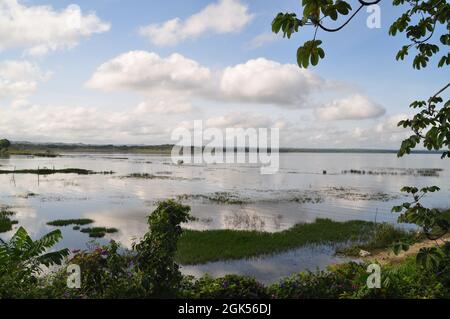 Das Ufer des Lago Petén Itza in Guatemala. Stockfoto