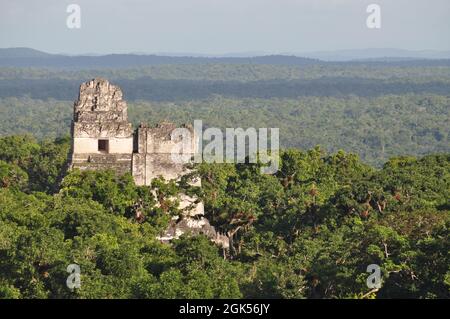 Ein Tempel im Tikal Nationalpark, Guatemala. Stockfoto