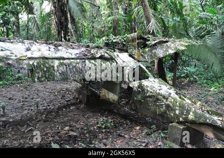 Wrack eines Flugzeugs im Dschungel von Belize. Stockfoto