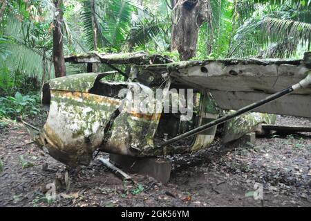 Wrack eines Flugzeugs im Dschungel von Belize. Stockfoto