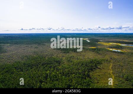 Luftaufnahme von Drohnen auf Moor, kiefernden Kiefern- und Birkenwäldern in verschiedenen Farben wie hellen, dunkelgrünen, smaragdgrünen, gelben und tiefblauen Seen an einem sonnigen Tag Stockfoto