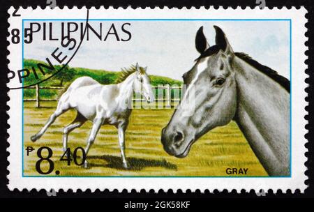 PHILIPPINEN - UM 1984: Eine auf den Philippinen gedruckte Marke zeigt graue, philippinische Pferde, um 1984 Stockfoto