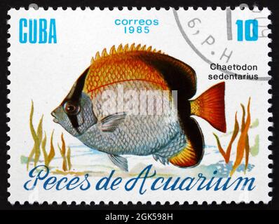 KUBA - UM 1985: Eine auf Kuba gedruckte Briefmarke zeigt Reef Butterflyfish, Chaetodon Sedentarius, Aquarium Fish, um 1985 Stockfoto