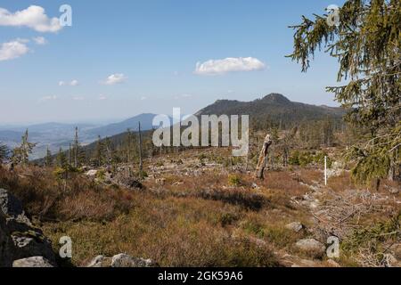 Wanderung von Zwercheck zum Grossen Osser Stockfoto