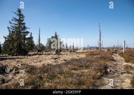 Wanderung von Zwercheck zum Grossen Osser Stockfoto