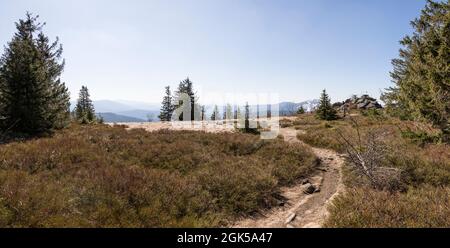 Wanderung von Zwercheck zum Grossen Osser Stockfoto