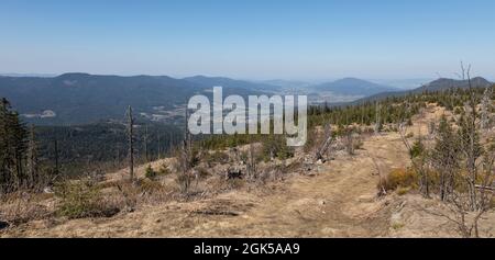 Wanderung von Zwercheck zum Grossen Osser Stockfoto
