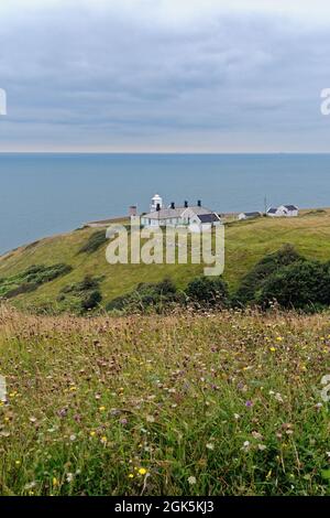 Anvil Point Leuchtturm und Durlston Landzunge in der Nähe von Swanage Isle of Purbeck Dorset England Stockfoto